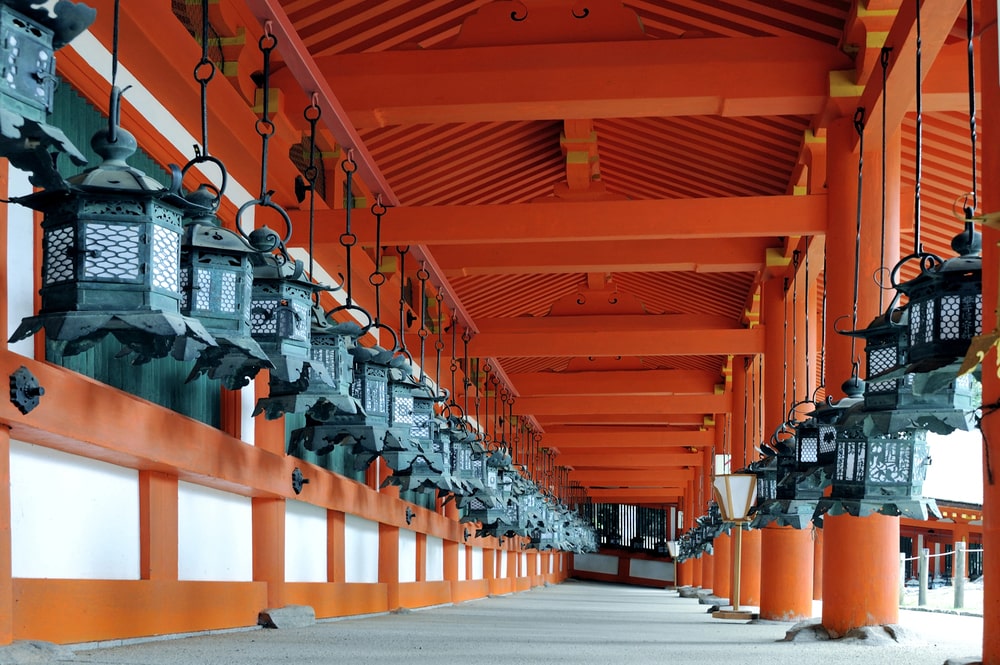 Walking through the lantern-lit paths of Kasuga Taisha Shrine is an unforgettable experience on our Japan Language study tours for teenagers.