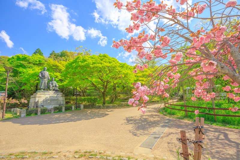 During our Japan Language study tours for teenagers, we relax under the sakura trees in Maruyama Park, enjoying the beauty of nature.