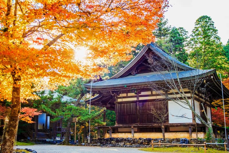Jingo-ji Buddhist Temple at Mount Takao Kyoto