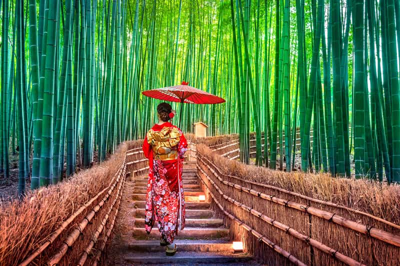 Arashiyama Bamboo Forest in Kyoto Japan