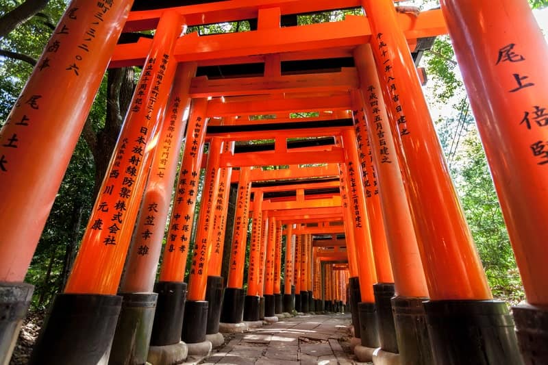 Torii gates at Fushimi Inari Shrine in Kyoto